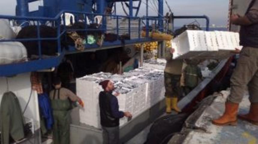 Balık&ccedil;ılar Ağlar Boş D&ouml;n&uuml;yor