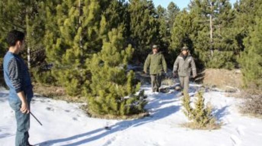 &Ccedil;am Koruma Timleri Işbaşı Yaptı