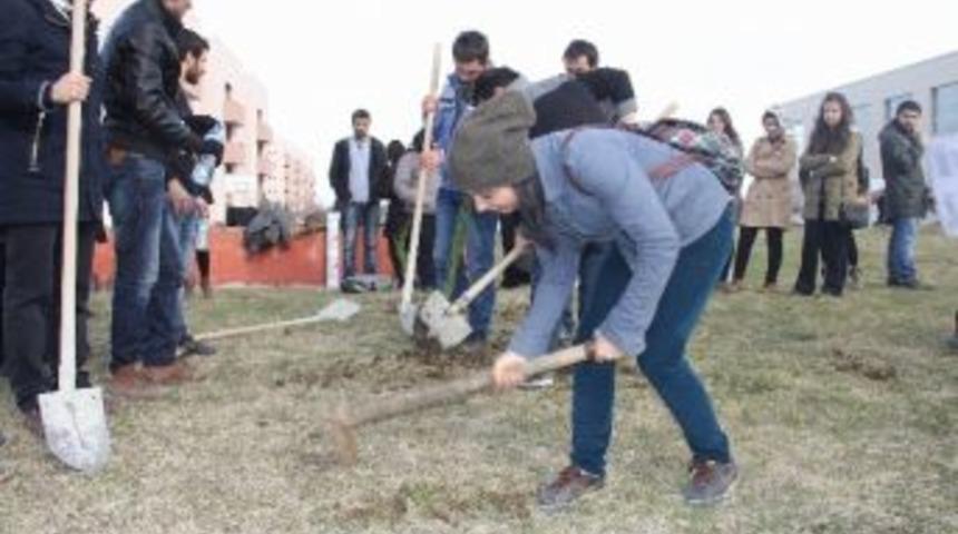 Roboski'de &Ouml;len 34 Kişi İ&ccedil;in Fidan Diktiler