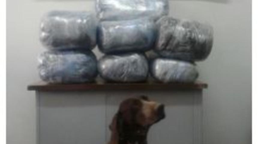 Malatya'da 29,5 Kilo Esrar Ele Ge&ccedil;irildi