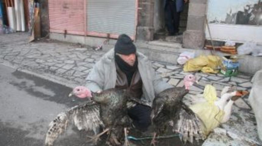 Afyonkarahisar&rsquo;da Hindiler Pazarlarda Boy G&ouml;stermeye Başladı