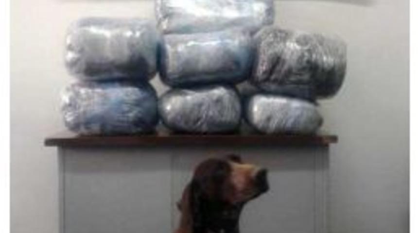 Malatya&rsquo;da 29 Kilogram Esrar Yakalandı