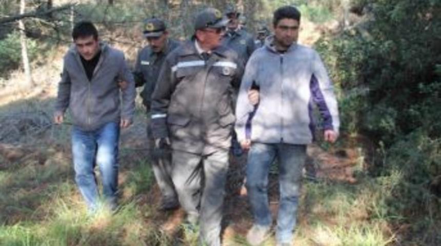 Yılbaşı Fidanı Kesene Hapis Cezası