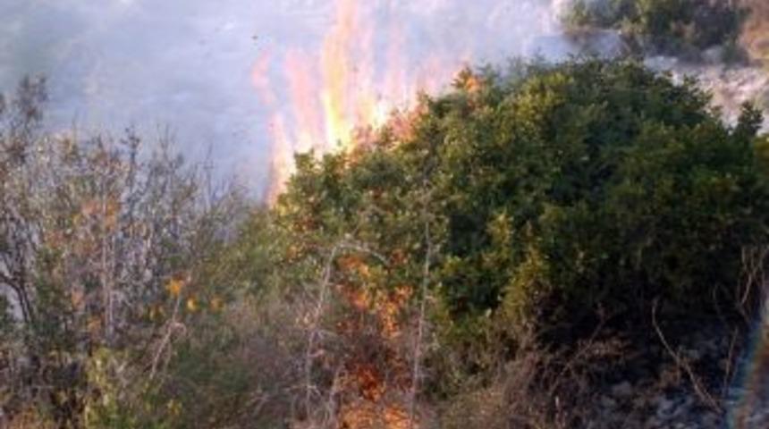 Silifke&rsquo;de Orman Yangını