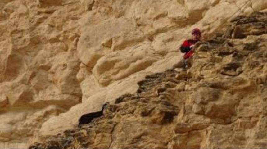 U&ccedil;urumda Mahsur Kalan Ke&ccedil;i İ&ccedil;in Kurtarma Operasyonu