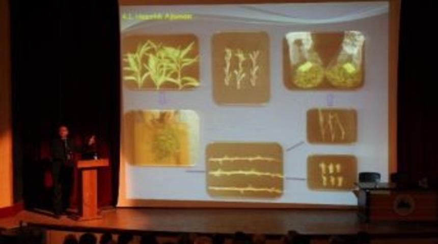 Badem Yetiştiriciliğinde Parlayan Yıldız Adıyaman