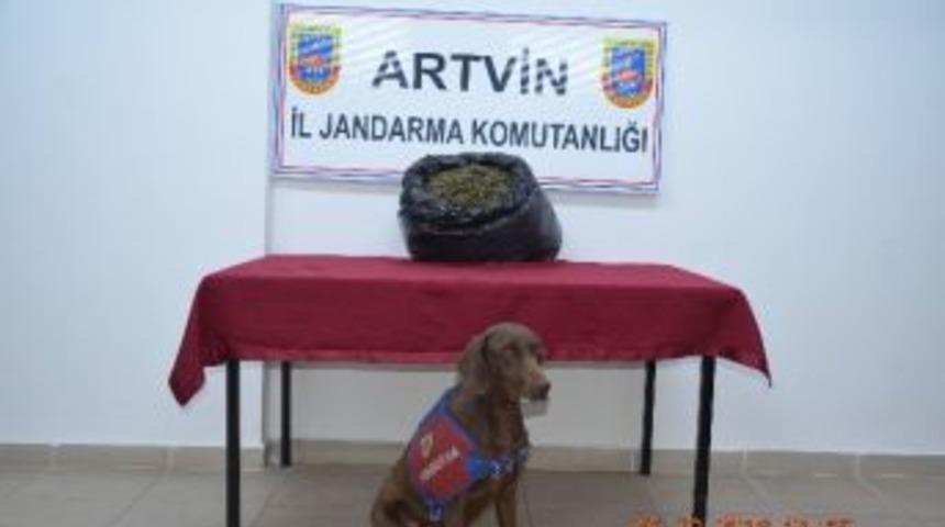Artvin&rsquo;de Uyuşturucu Operasyonu