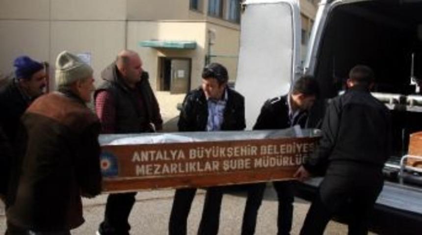 Kestiği Ağacın Altında Kaldı