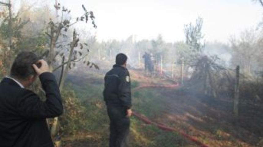 Hatıra Ormanı'nda Yangın