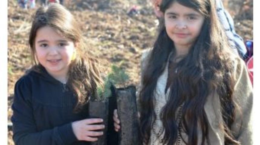 Karag&ouml;z Hatıra Ormanı Hayat Buluyor