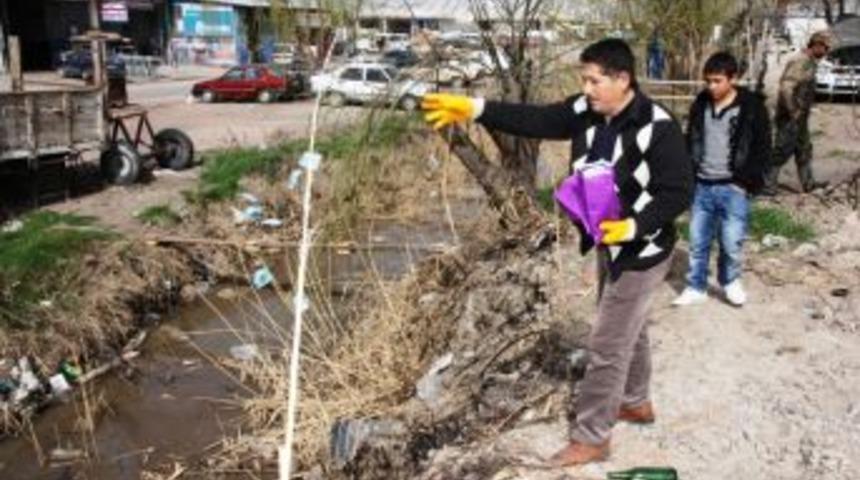 Kanalizasyon Logarlarına Belediye Ekipleri Tarafından Fare Yemleri Atılıyor