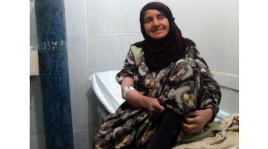 Yılanın Soktuğu Kadın Hastanelik Oldu