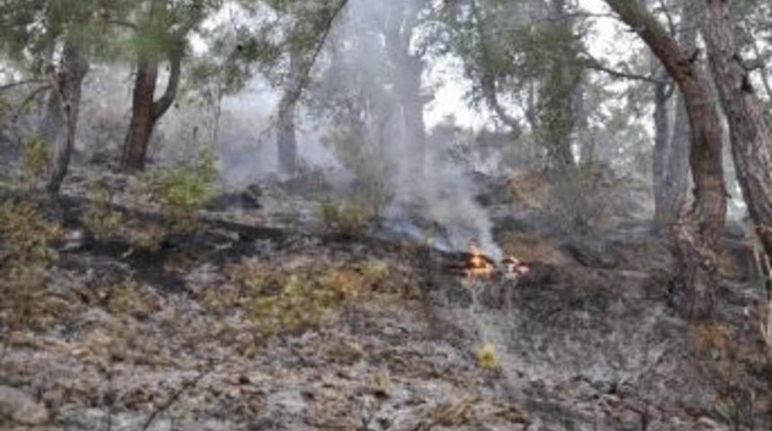 Alanya'da Mezarlıkta &Ccedil;ıkan Yangın Korkuttu