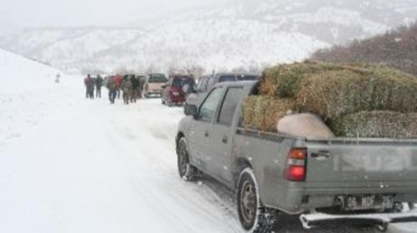 Orman Ve Su İşleri Bakanlığı'ndan Yaban Hayatına 560 Ton Yem Ve Yiyecek Desteği