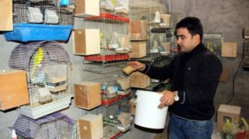 (&ouml;zel Haber) Kuş Cenneti Gibi Ev