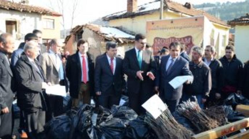 Balıkesir'de &Ccedil;ift&ccedil;ilere Yaklaşık 27 Bin Adet Asma Fidanı Dağıtıldı