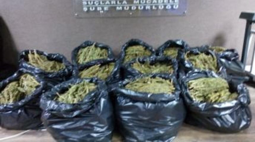 Şanlıurfa'da 136 Kg. Esrar Ele Ge&ccedil;irildi