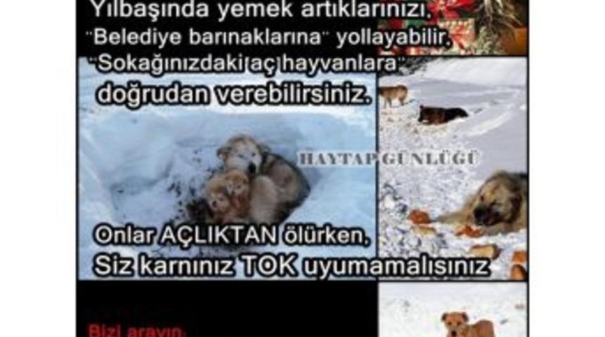 "bu Yılbaşı Bir A&ccedil; Can Doyurun"