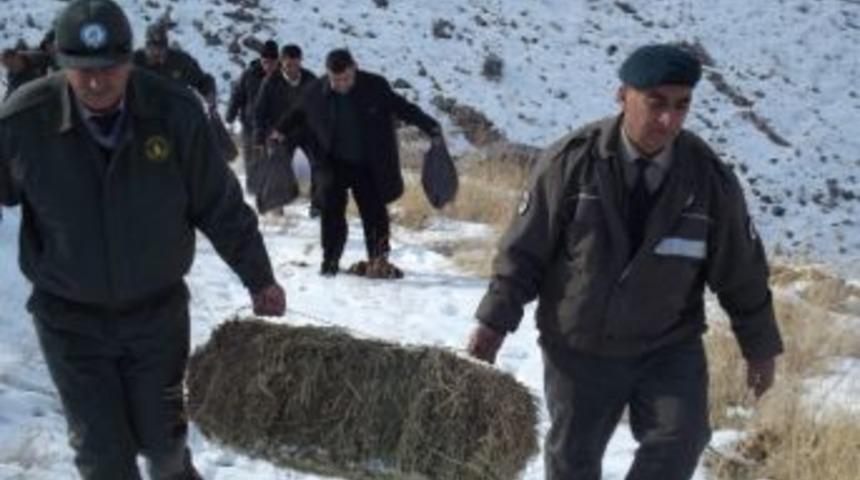 Yaban Hayvanları İ&ccedil;in Doğaya Yem Bırakıldı