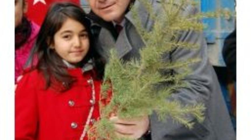 Eskişehir&rsquo;de &Uuml;cretsiz Fidan Dağıtımı