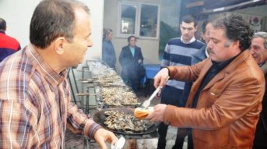 Ak&ccedil;ay 7. Hamsi Ş&ouml;leni'nde 6 Ton Hamsi Dağıtılacak