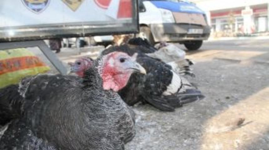 Yılbaşı&rsquo;nın Vazge&ccedil;ilmezi Hindiler Satışta