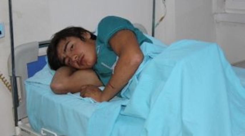 G&ouml;rele&rsquo;de Domuz &Ccedil;obana Saldırdı