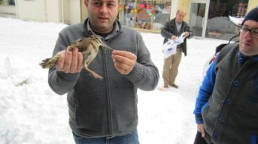 Donmak &Uuml;zere Iken Buldular