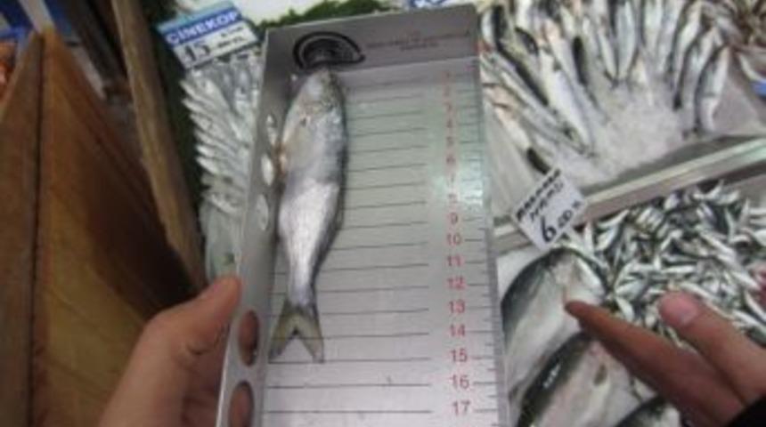 Başkent&rsquo;te Tebliğe Uygun Olmayan Balık Satışına Ge&ccedil;it Yok