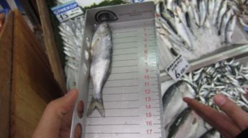 Başkent'te Balık Denetimlerinde 20 Bin Lira Ceza