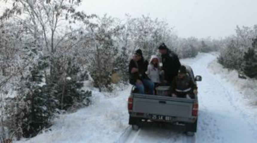 Iğdır’da Yaban Hayvanları İçin Doğaya Yem Bırakıldı