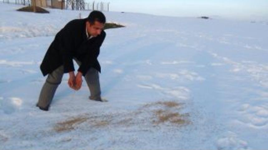 Bitlis&rsquo;te Hayvanlar I&ccedil;in Doğaya Yiyecek Bırakılıyor