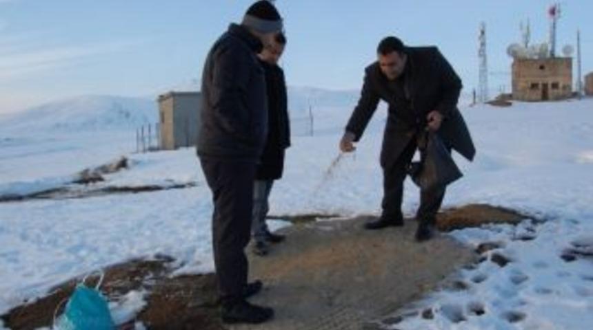 Bitlis&rsquo;te Yaban Hayvanları İ&ccedil;in Doğaya Yem Bırakıldı