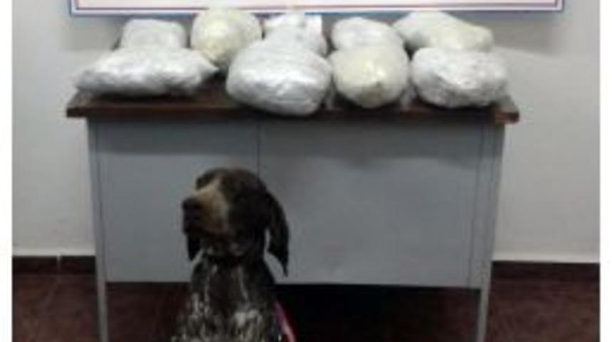 Malatya'da 6 Kilo Esrar Ele Ge&ccedil;irildi