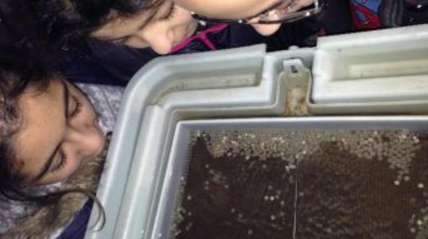 Minik &Ouml;ğrencilerin Su &Uuml;r&uuml;nleri Sevgisi