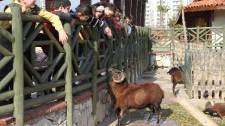 Karşıyakalı Miniklere En G&uuml;zel Yeni Yıl Hediyesi