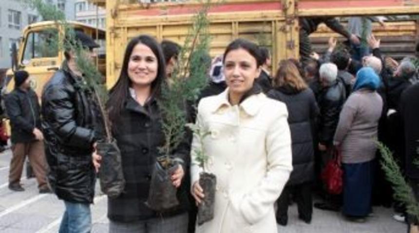 Samsun&rsquo;da Vatandaşlar Yeni Yıla Fidan Dikerek Girecek