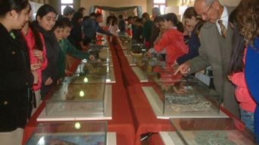 Gezici &Ccedil;anakkale M&uuml;zesine Yoğun İlgi