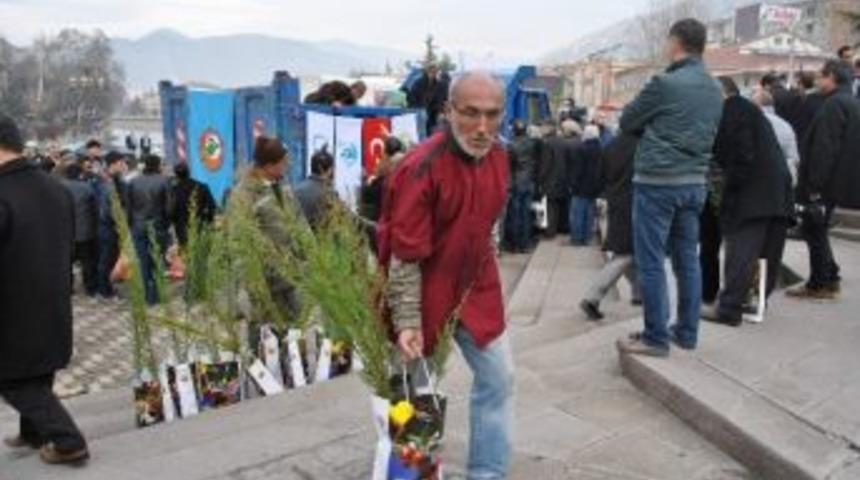 Amasya&rsquo;da Fidan İzdihamı