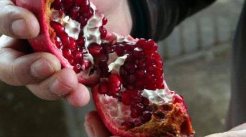 Adıyaman Narı İlk Kez Adıyamanlı Firma İle İhra&ccedil; Edilecek