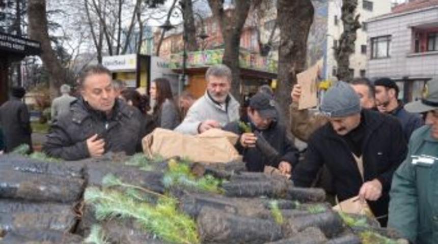 Vatandaşlara &Uuml;cretsiz Bin 500 Fıstık &Ccedil;amı Fidanı Dağıtıldı