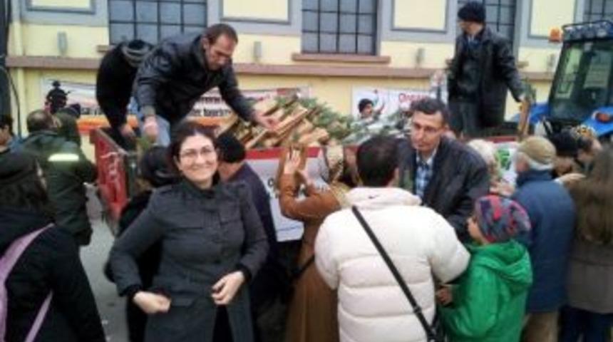 Orman Ve Su İşleri Bakanlığı'ndan Yılbaşında, "ağa&ccedil; Kesme, Fidan Dik" Kampanyası