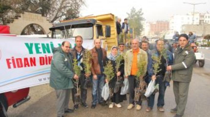 Mut'ta 5 Bin Fidan Dağıtıldı