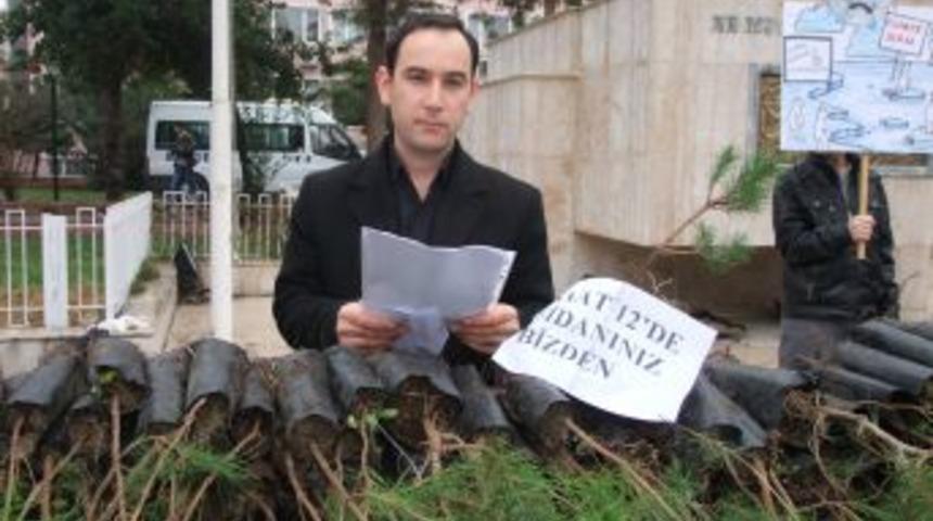 &Ouml;ğrenciler 1000 Adet &Ccedil;am Fidanı Dağıttı