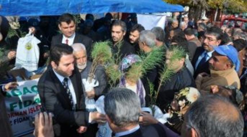 Yeni Yıla Girerken 50 Bin Fidan Dağıtıldı