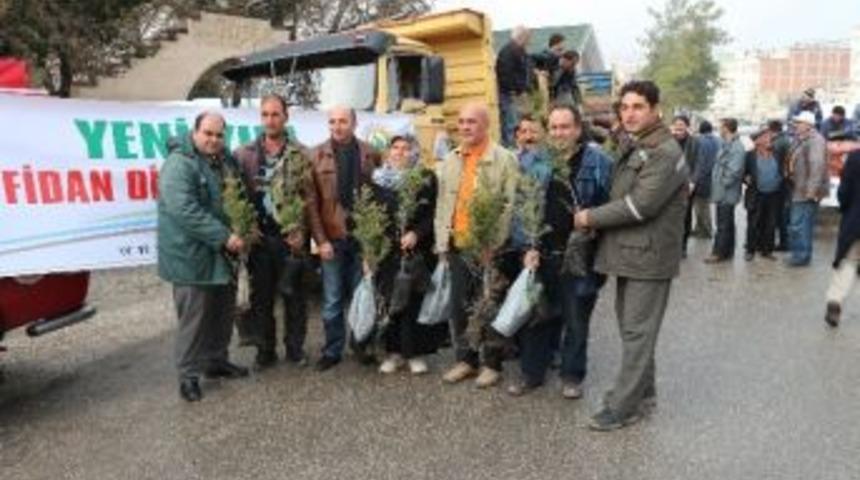 Mut'ta 5 Bin Fidan Dağıtıldı