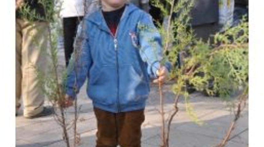 Denizli'de Beş Bin Fidan Dağıtıldı