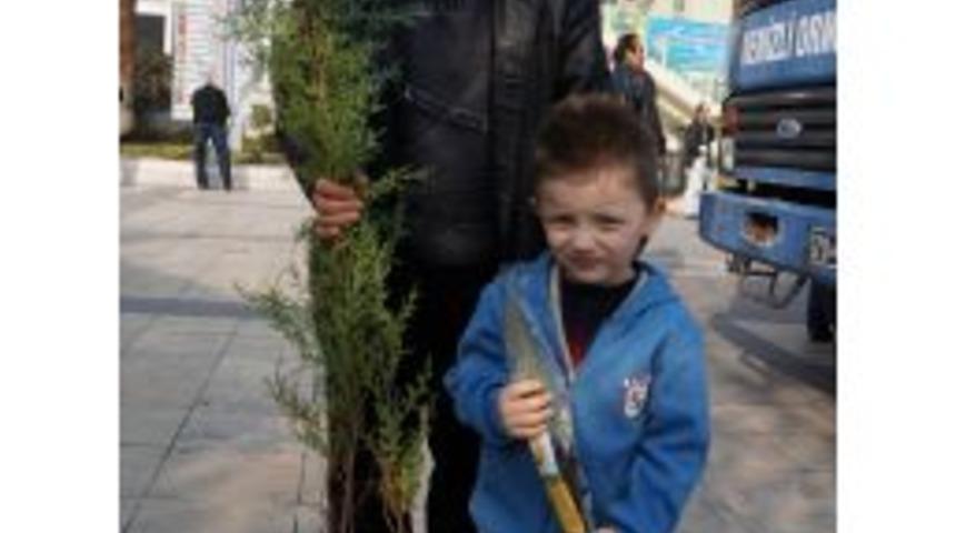 Denizli Orman B&ouml;lge M&uuml;d&uuml;rl&uuml;ğ&uuml; &Uuml;cretsiz Fidan Dağıtıyor