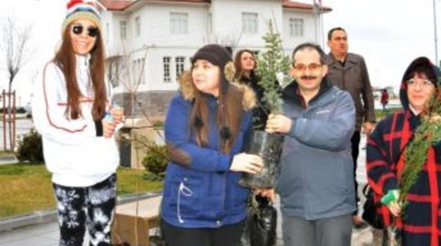 Yalova'da Yılbaşı Fidanları Kapışıldı