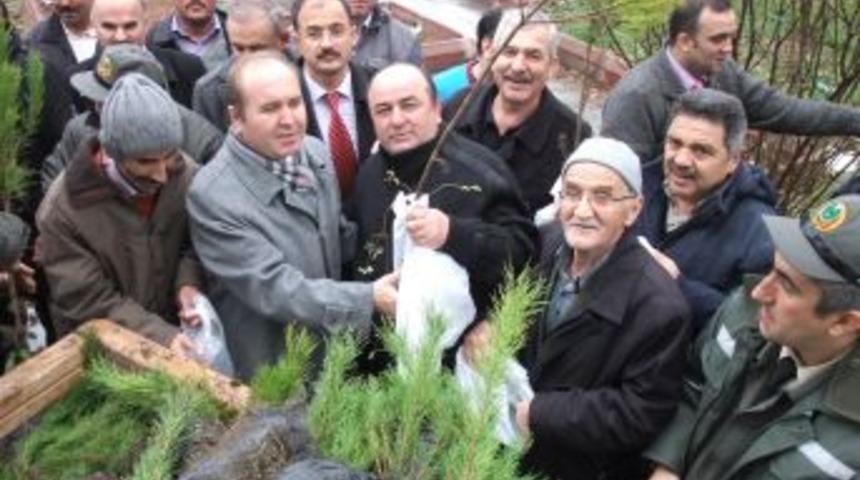 Bafra'da 2 Bin Adet Fidan Dağıtıldı